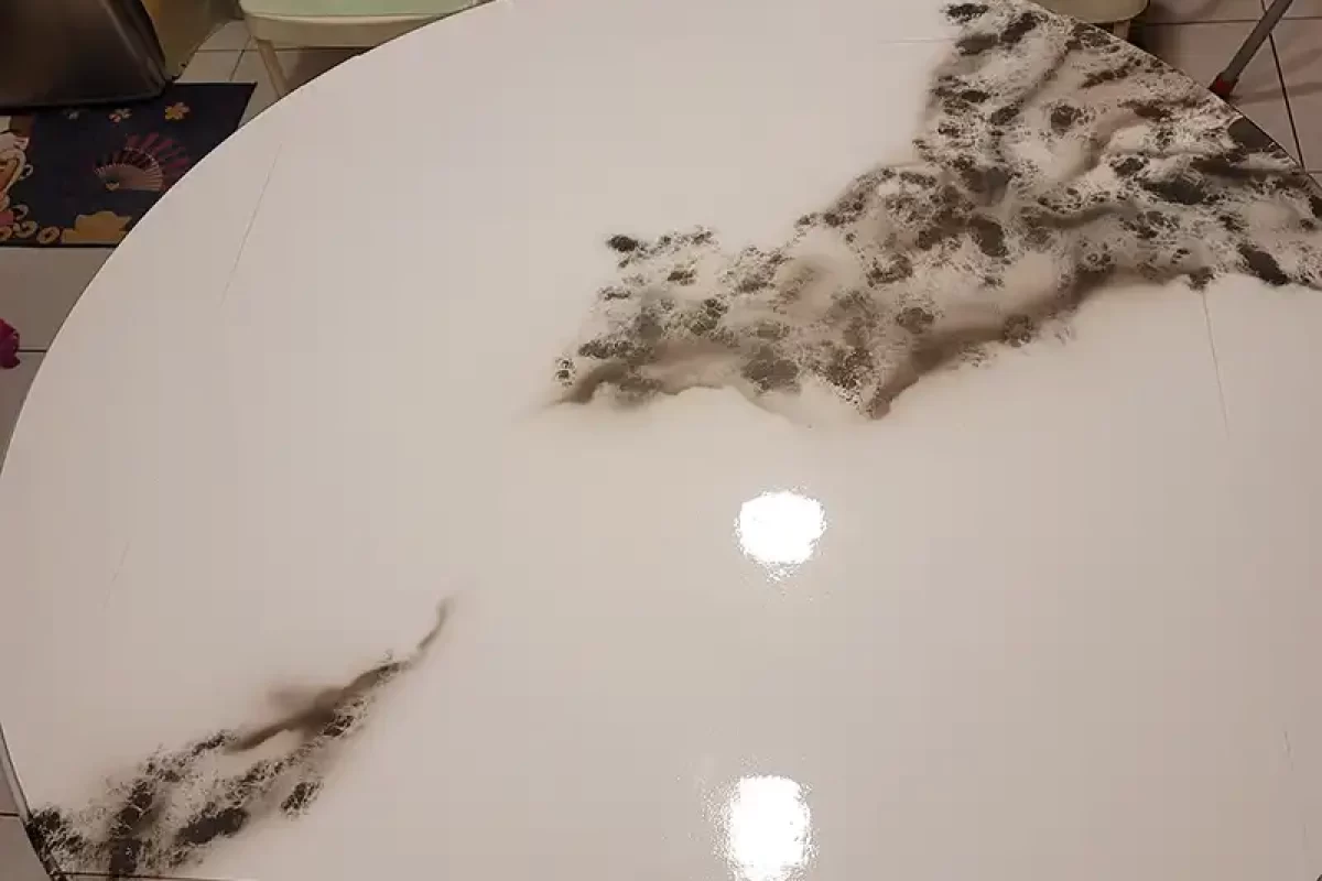 門窗醫美-台北家具改色-新北門窗改色-台北鋁門窗烤漆-新北鋁門窗烤漆_projects_彩繪_07